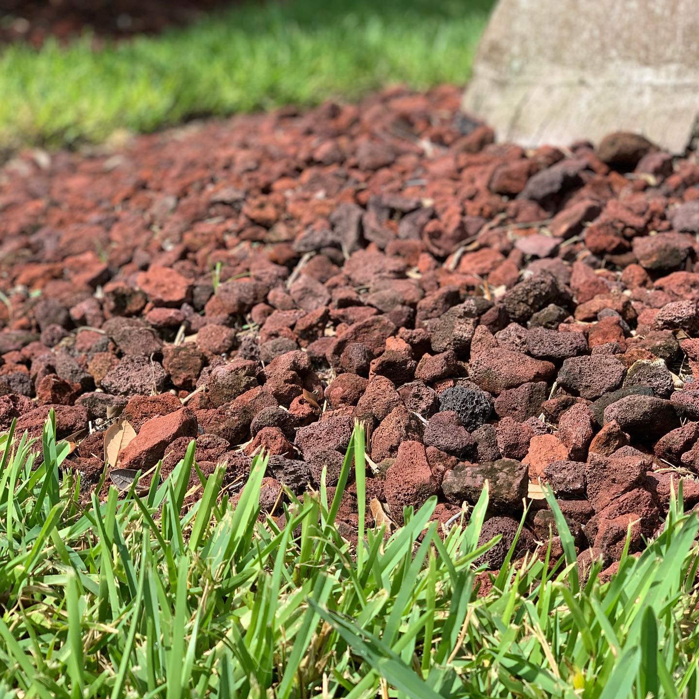 Big - Red Lava Rock: yay or nay? The porous stone is a popular ...