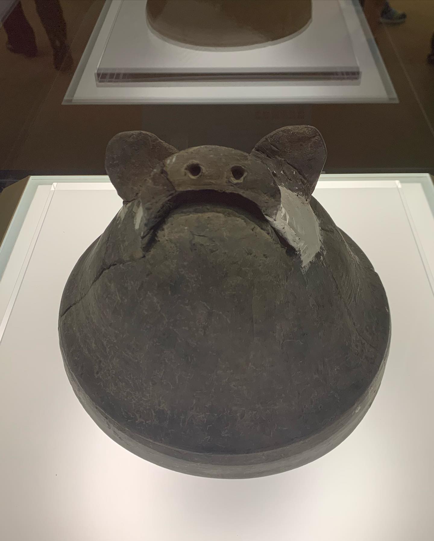 China Museum - 猪首形陶器盖 Boar-head-shaped Lid of a Pottery... | Facebook