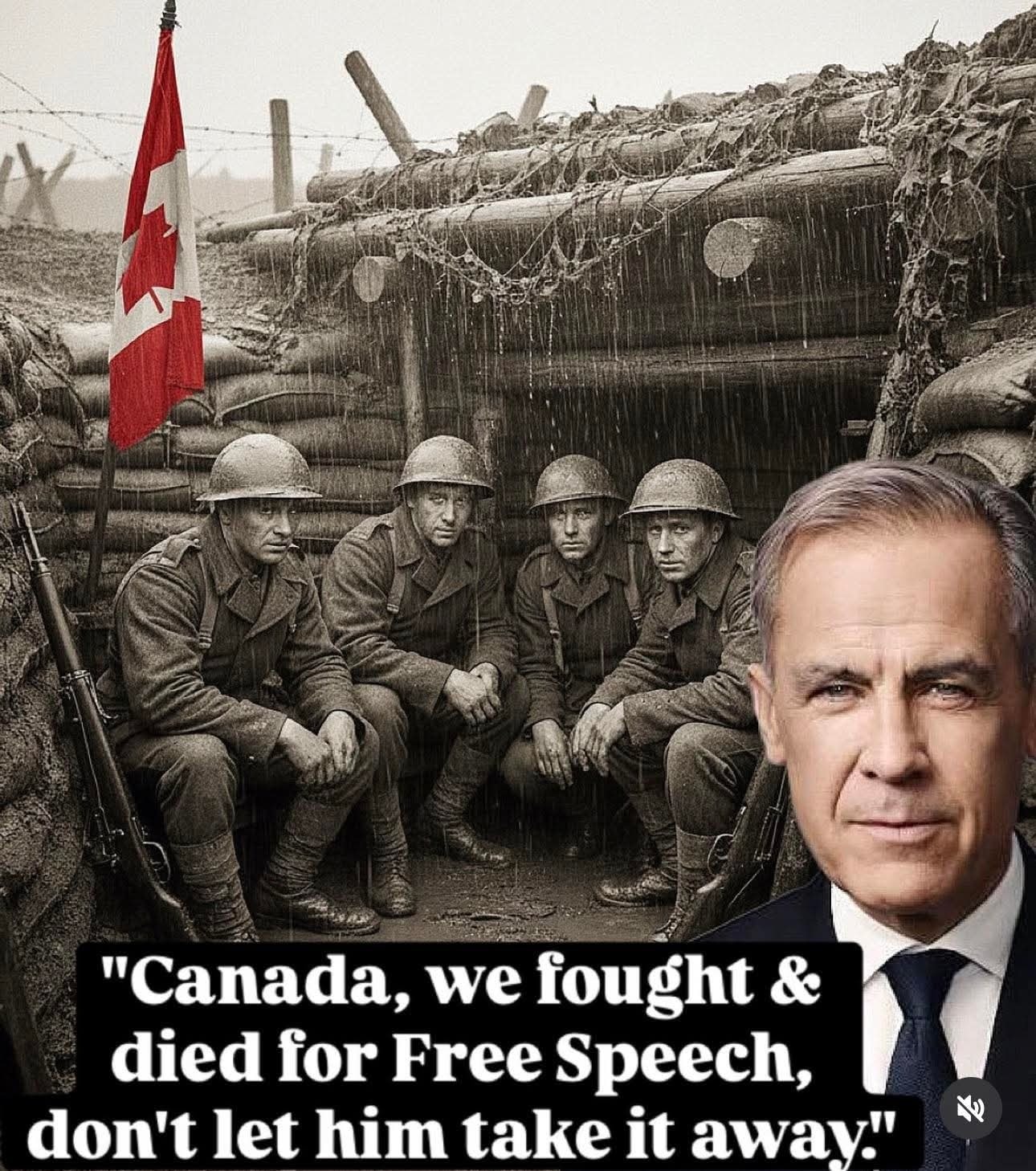 Rant - 👍👍👍 If Carney does get his majority government, Bills C-2 C-8 C ...