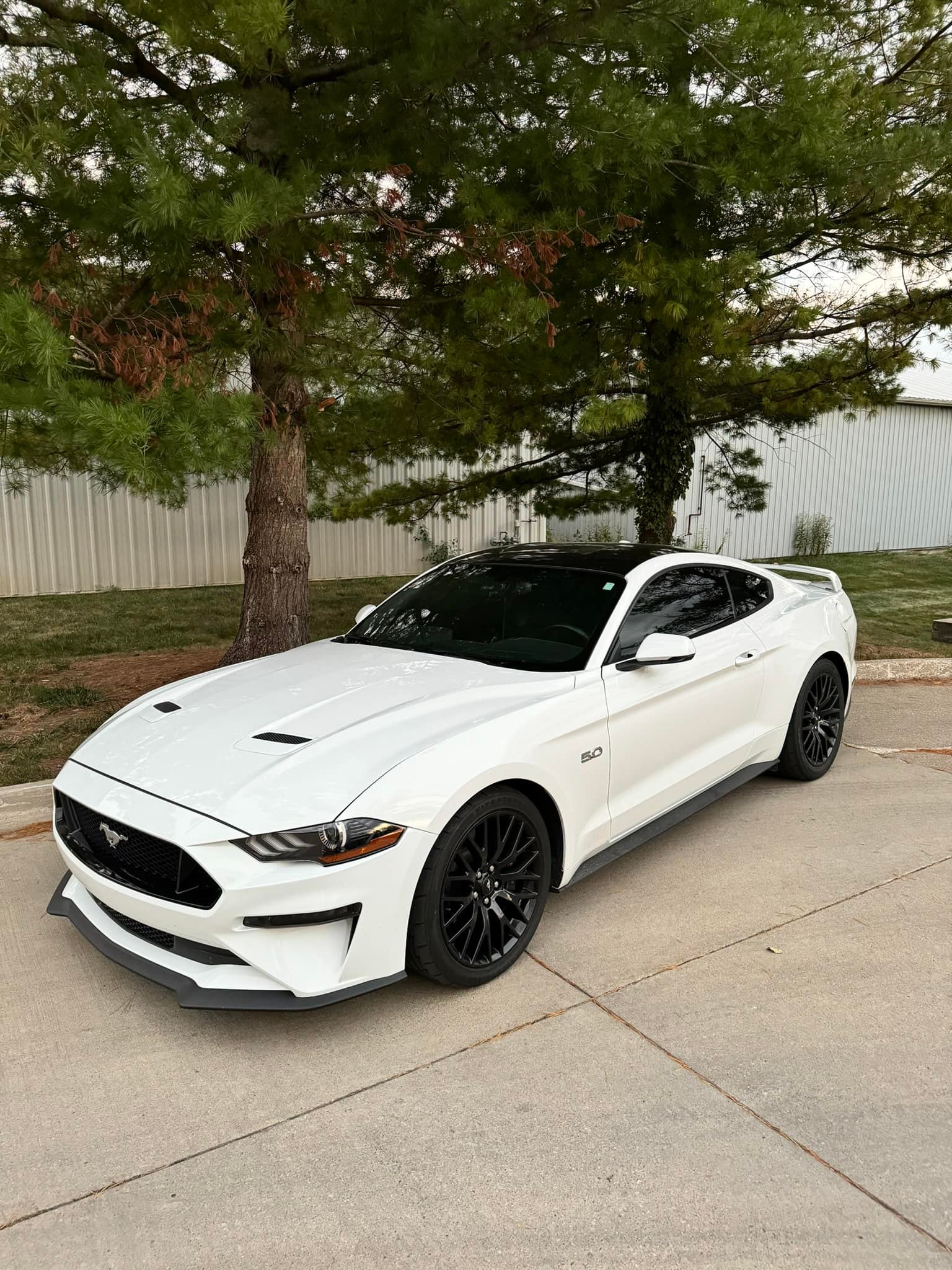 Form Auto Styling | Clive IA