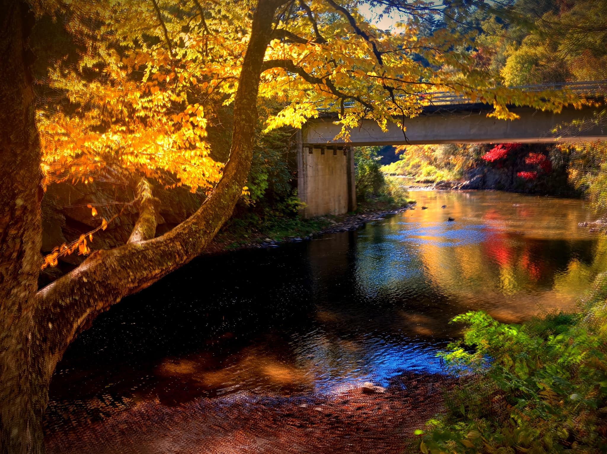 Blue Ridge Travel Network | Banner Elk NC