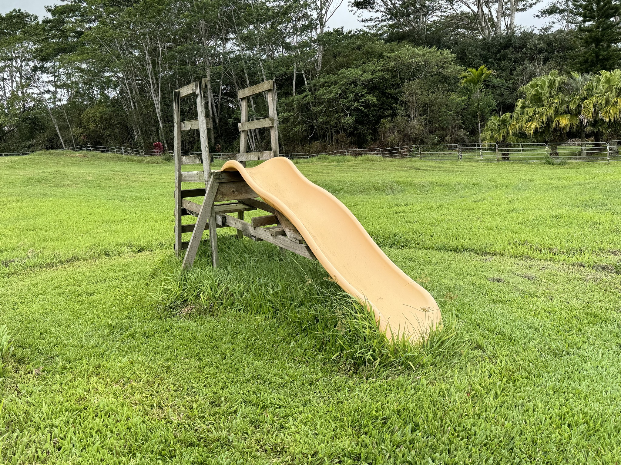 Heart Ranch | Hilo HI