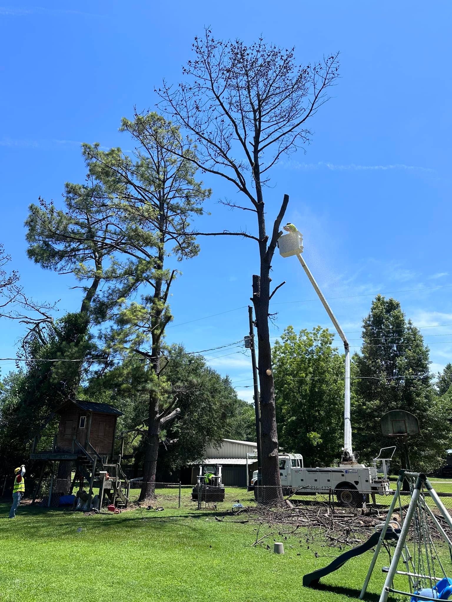 Trees R Us LLC