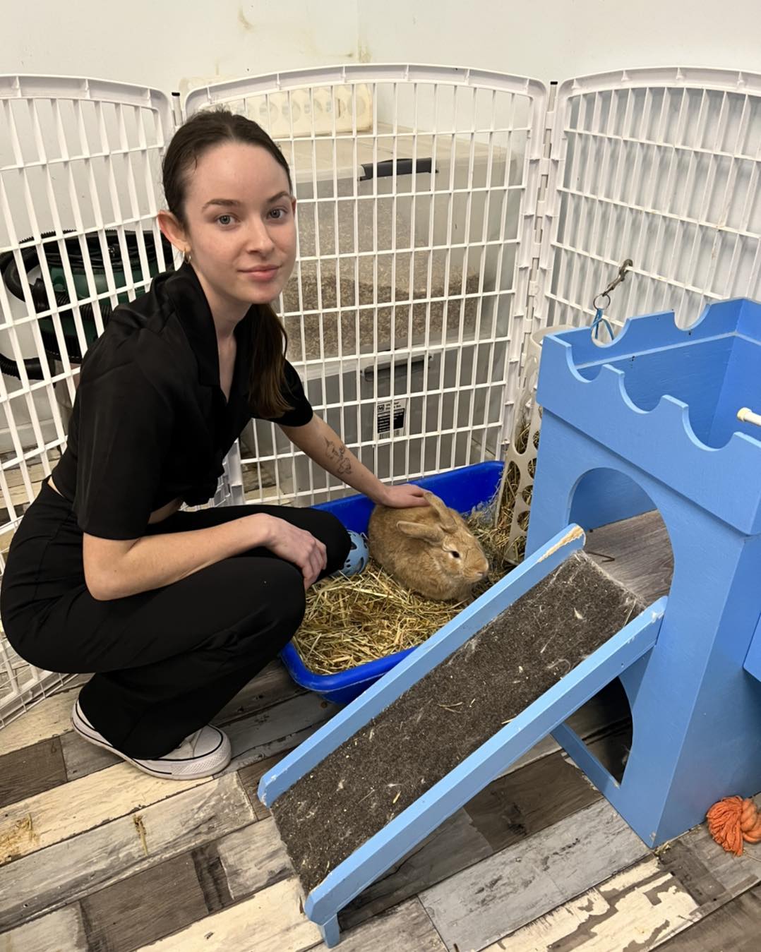 Thank you Ella for transporting... - The Rabbit Sanctuary | Facebook