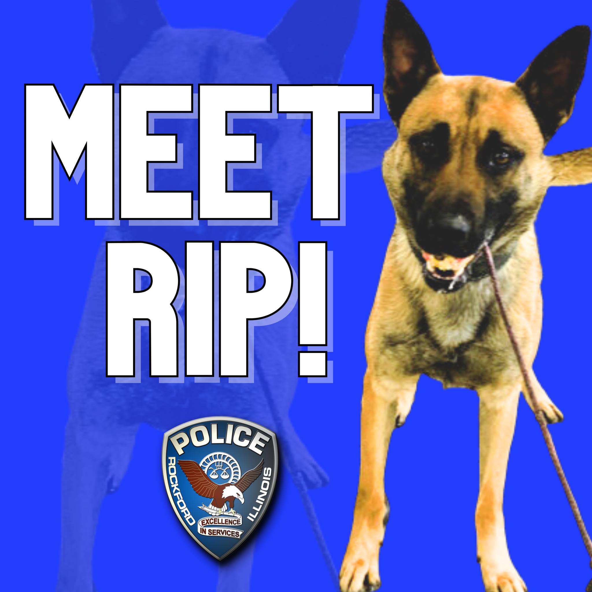 MEET RIP: We’d like... - Rockford Illinois Police Department | Facebook