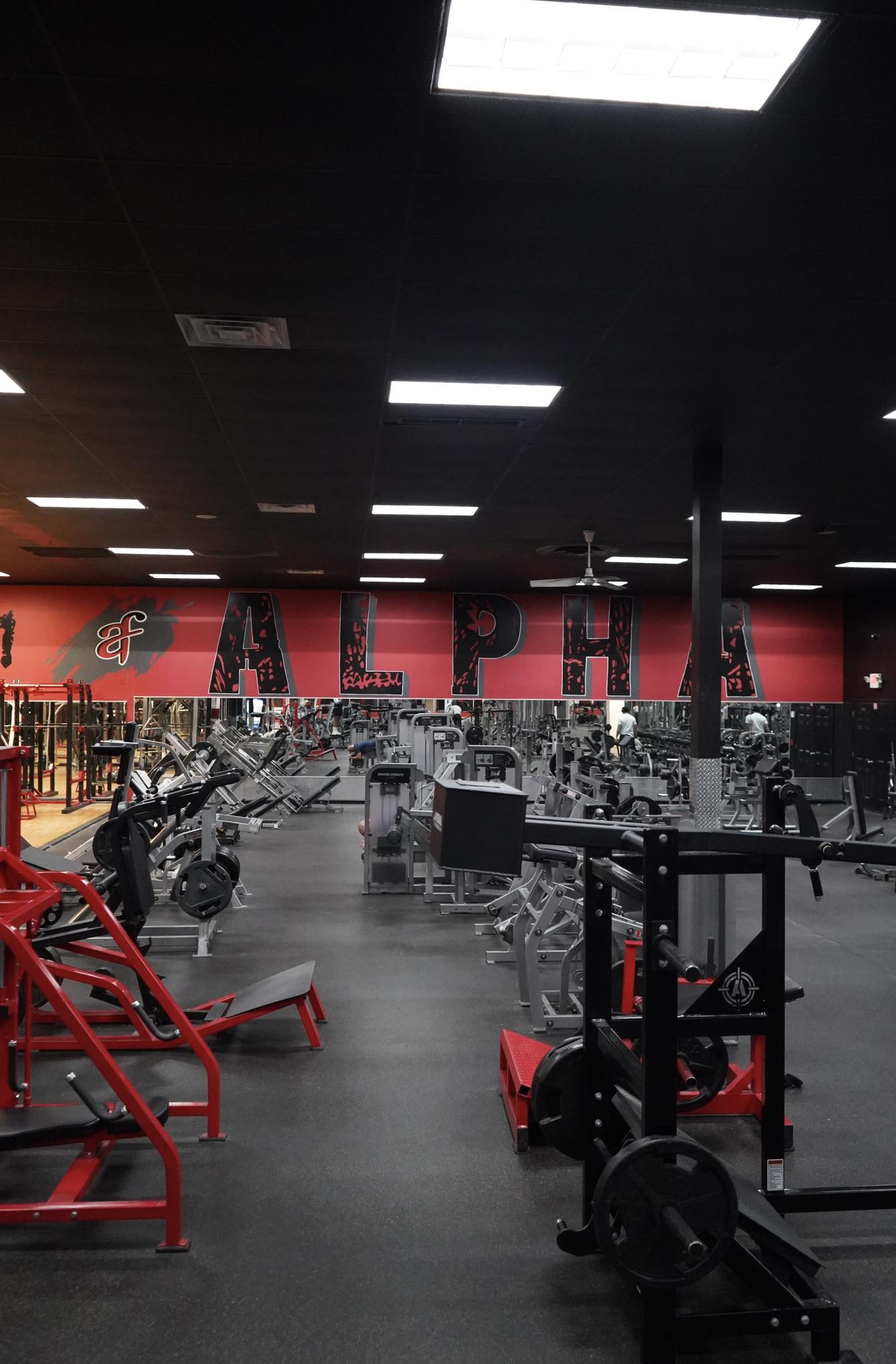 Alpha Fitness Ledgewood | Ledgewood NJ