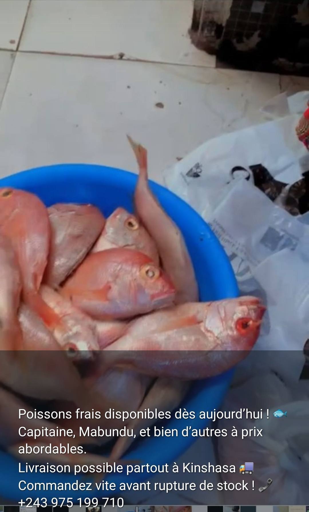 BILOKOSRDC🇨🇩 | Poissons frais disponibles dès aujourd’hui | Facebook