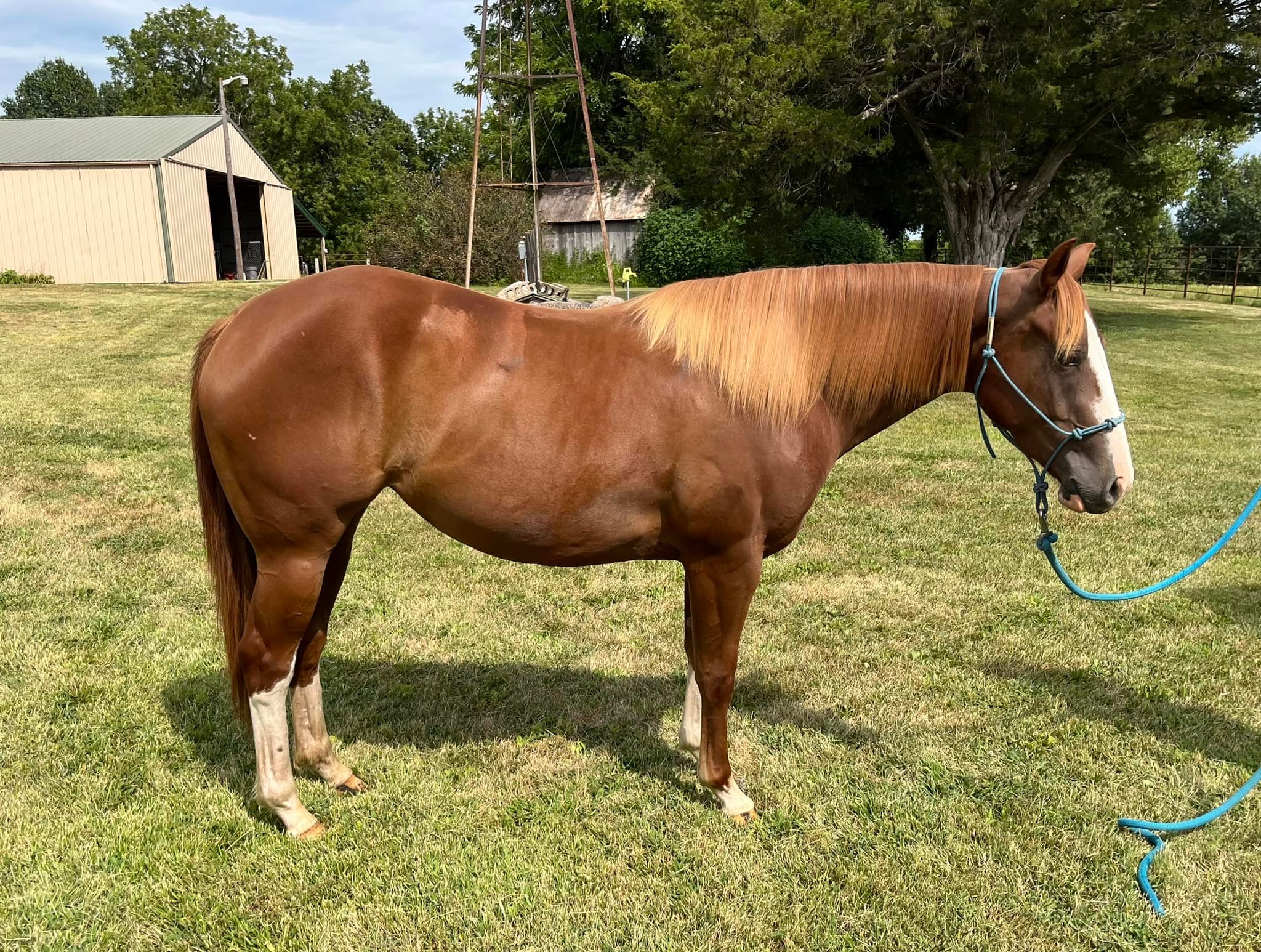 Ron Renard - Triple R Ranch & Horsemanship,LLC-Method Ambassador ...
