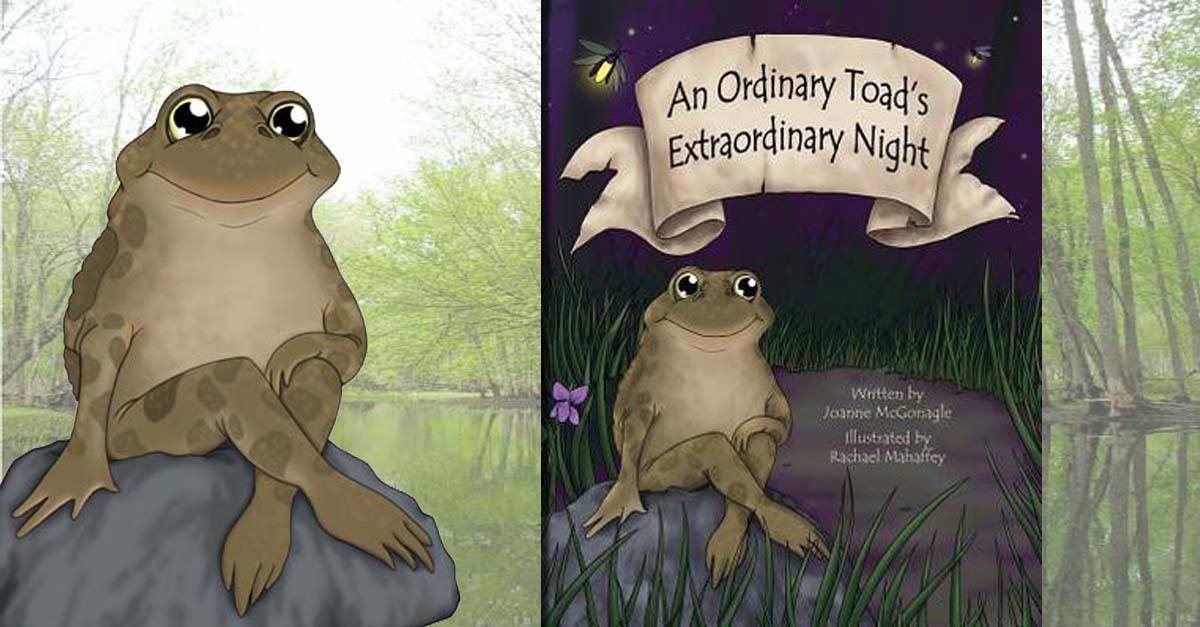 An Ordinary Toad's Extraordinary Night