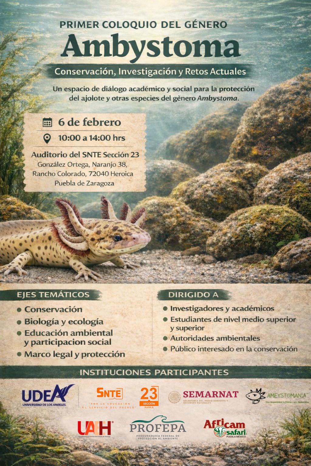 Universidad - Te invitamos al Primer Coloquio del Género Ambystoma, un ...