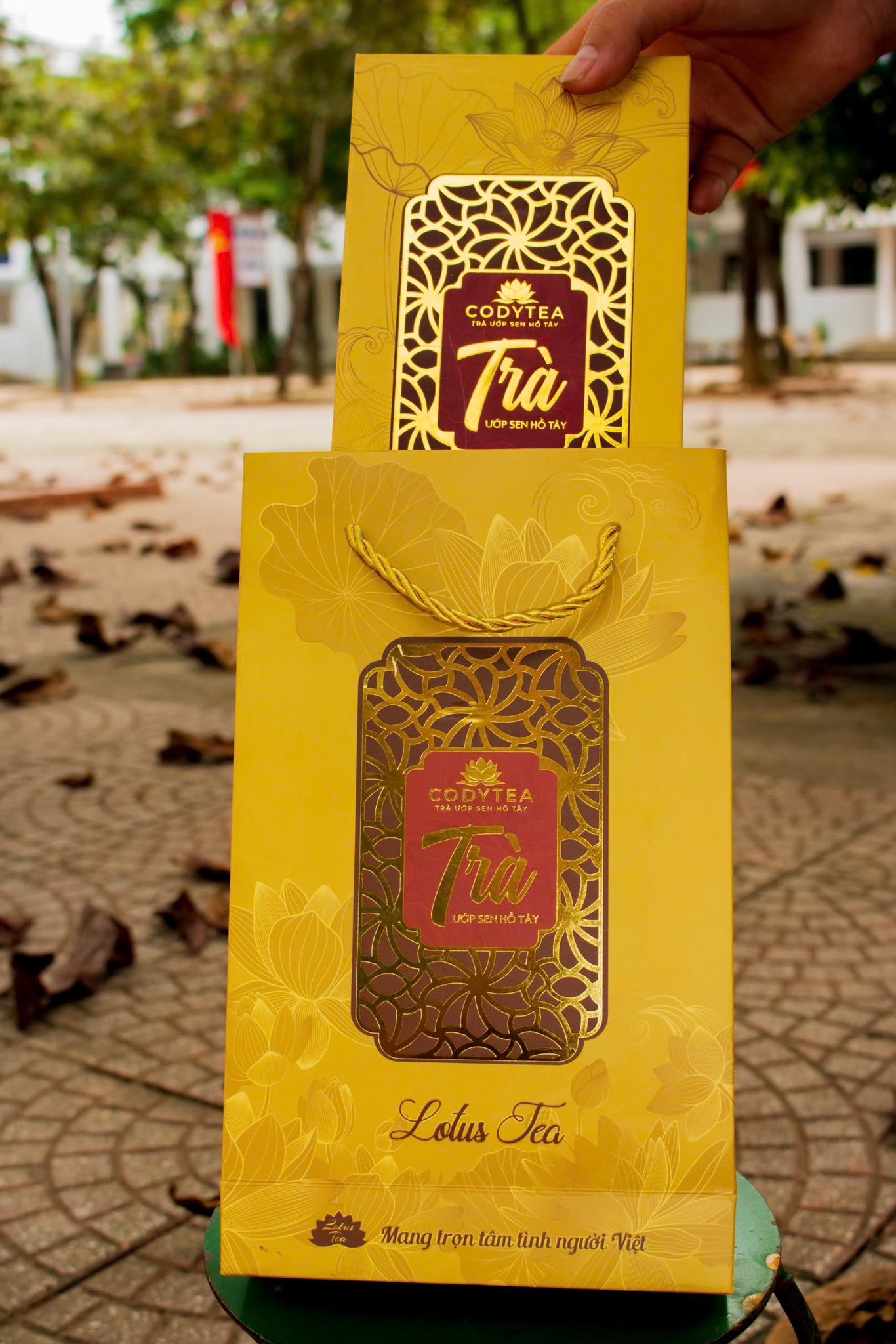 Codytea Việt Nam