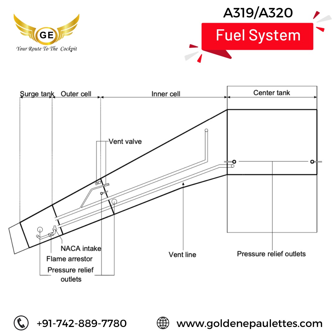 The Airbus A319 and A320... - Golden Epaulettes Aviation