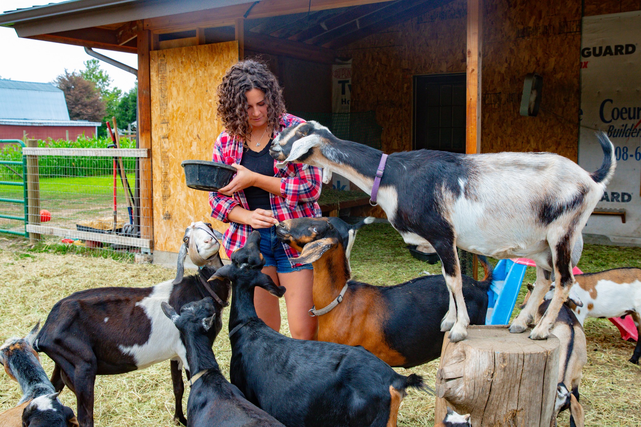 Rugged Country Farms