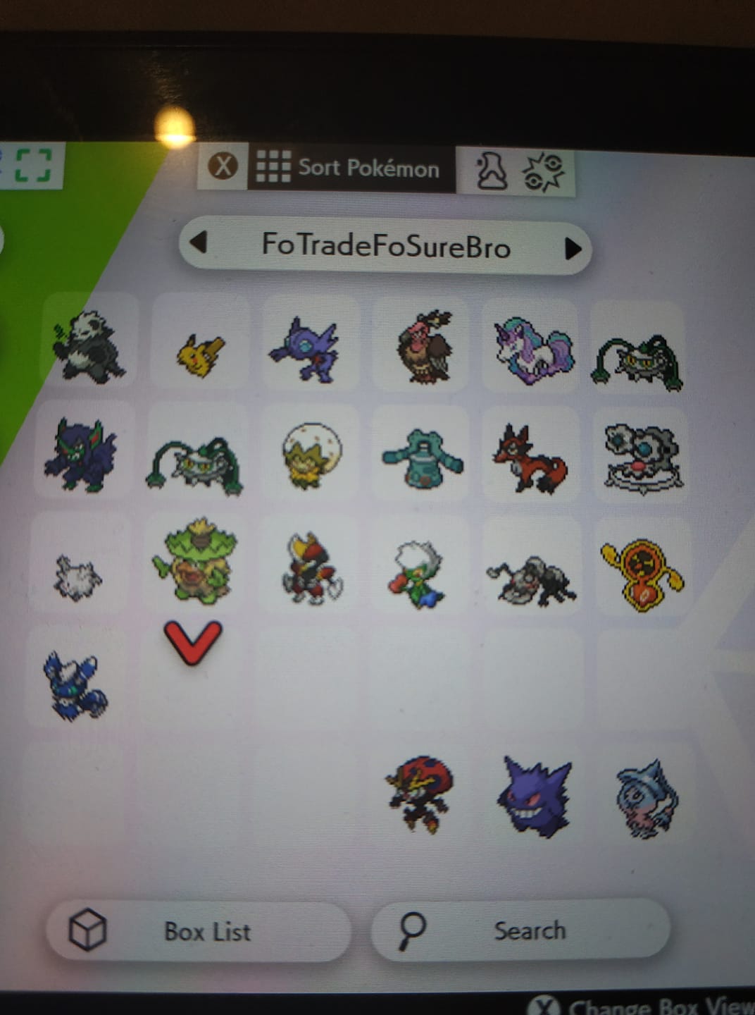 Pokemon Scarlet Volet Shny Flutter Mane Max Stats - Etsy