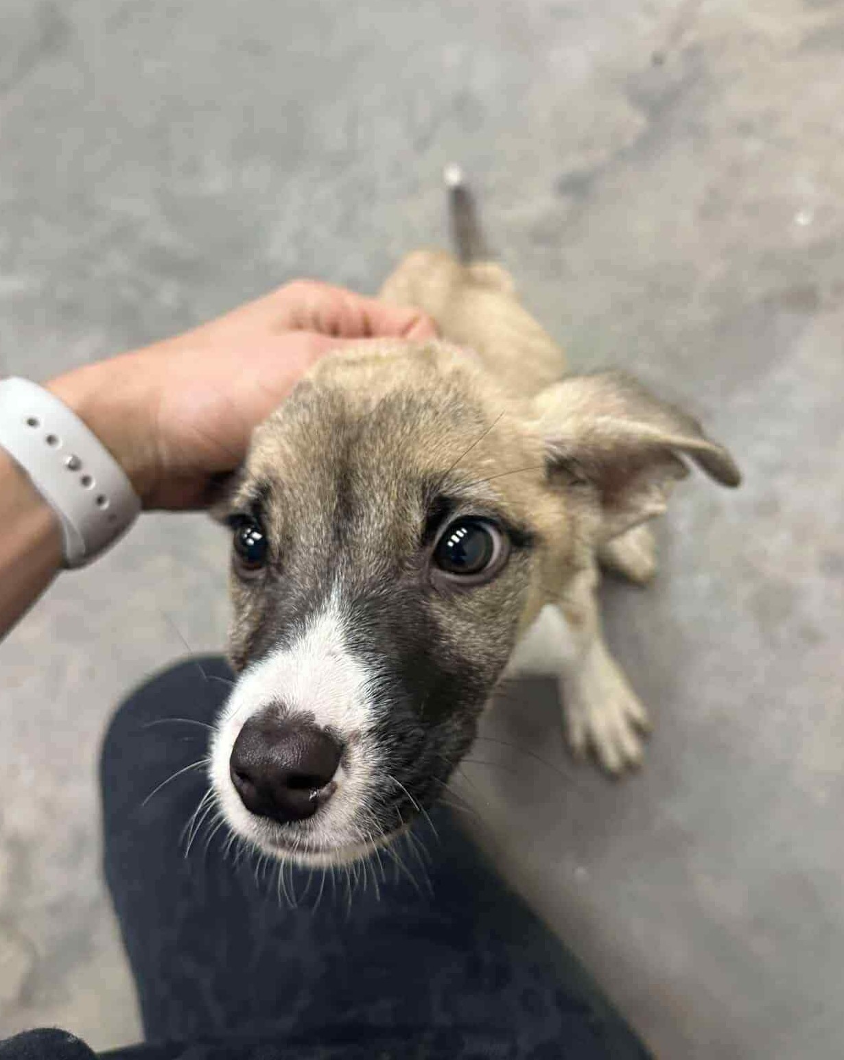 Please welcome our newest little... - Project Freedom Ride | Facebook