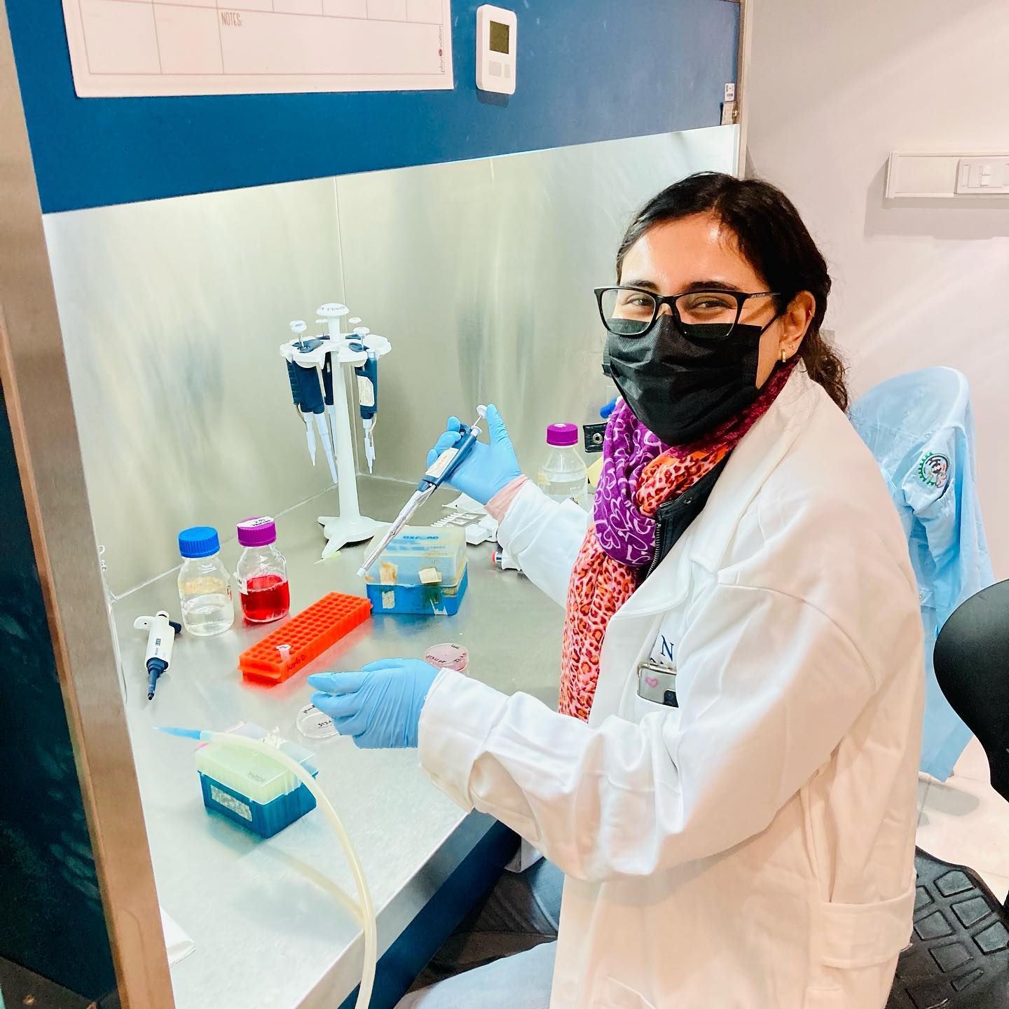 Nanotox Lab - 🌟 Bienvenida al nuevo lab Dani! 💜Dani...