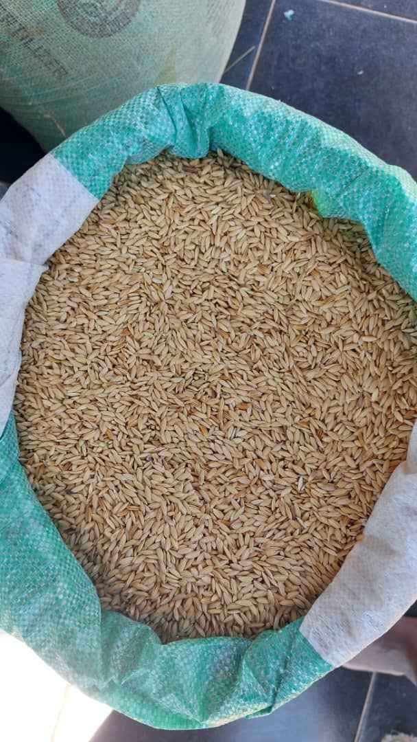Brown rice mupunga wechibhoyi - Area Rugs - Harare, Zimbabwe | Facebook ...