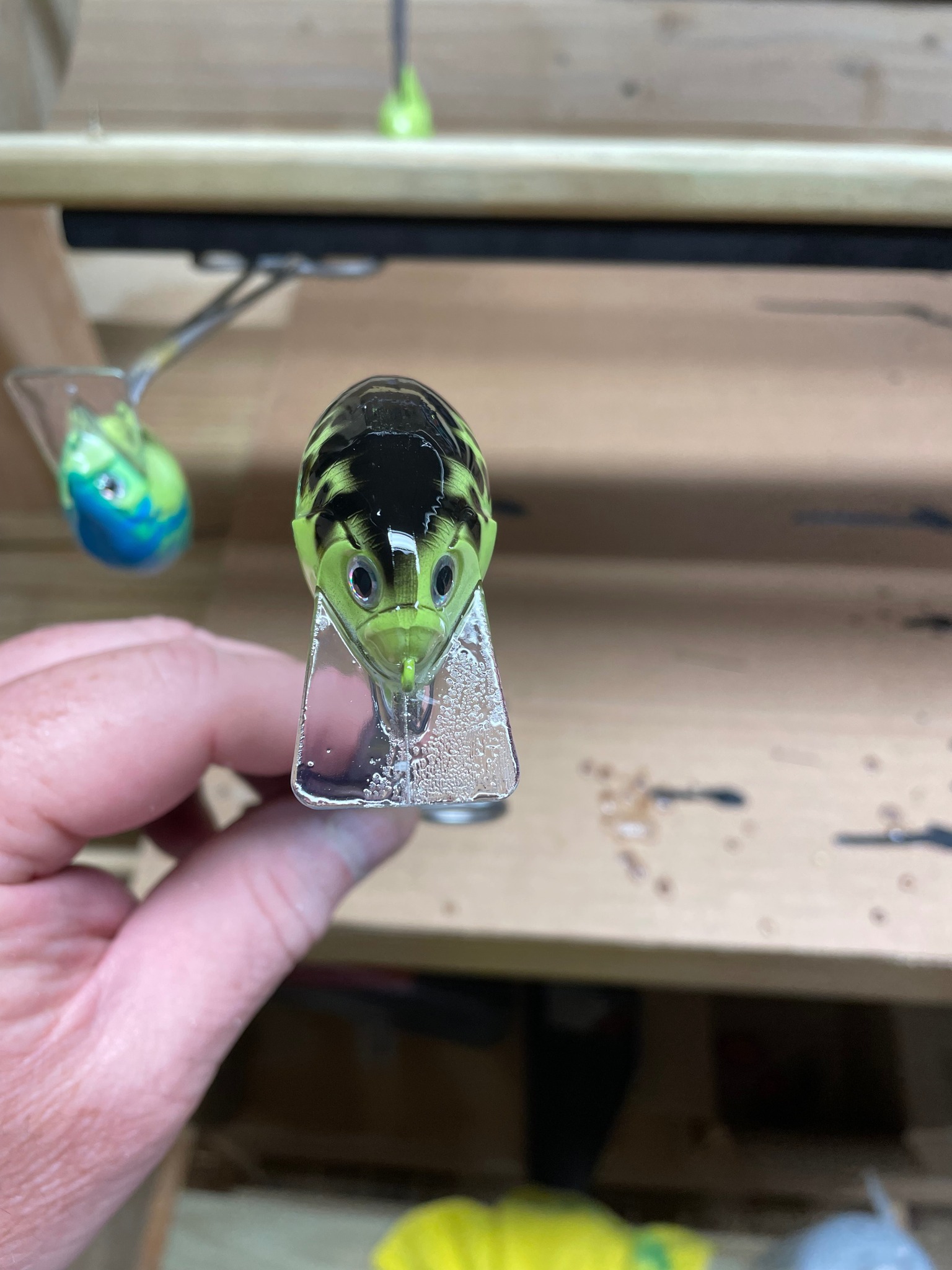 fish eyeing a lure Green Frog Eyes Eyes Fishing Eyes 3D Fish Eyes Enhance your lures with Realfish Holographic 3D Fishing Lure Eyes what causes fish eye in