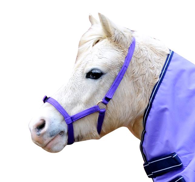 IV Horse Wee & Small Pony Stable Rug 100g in Black (3'6