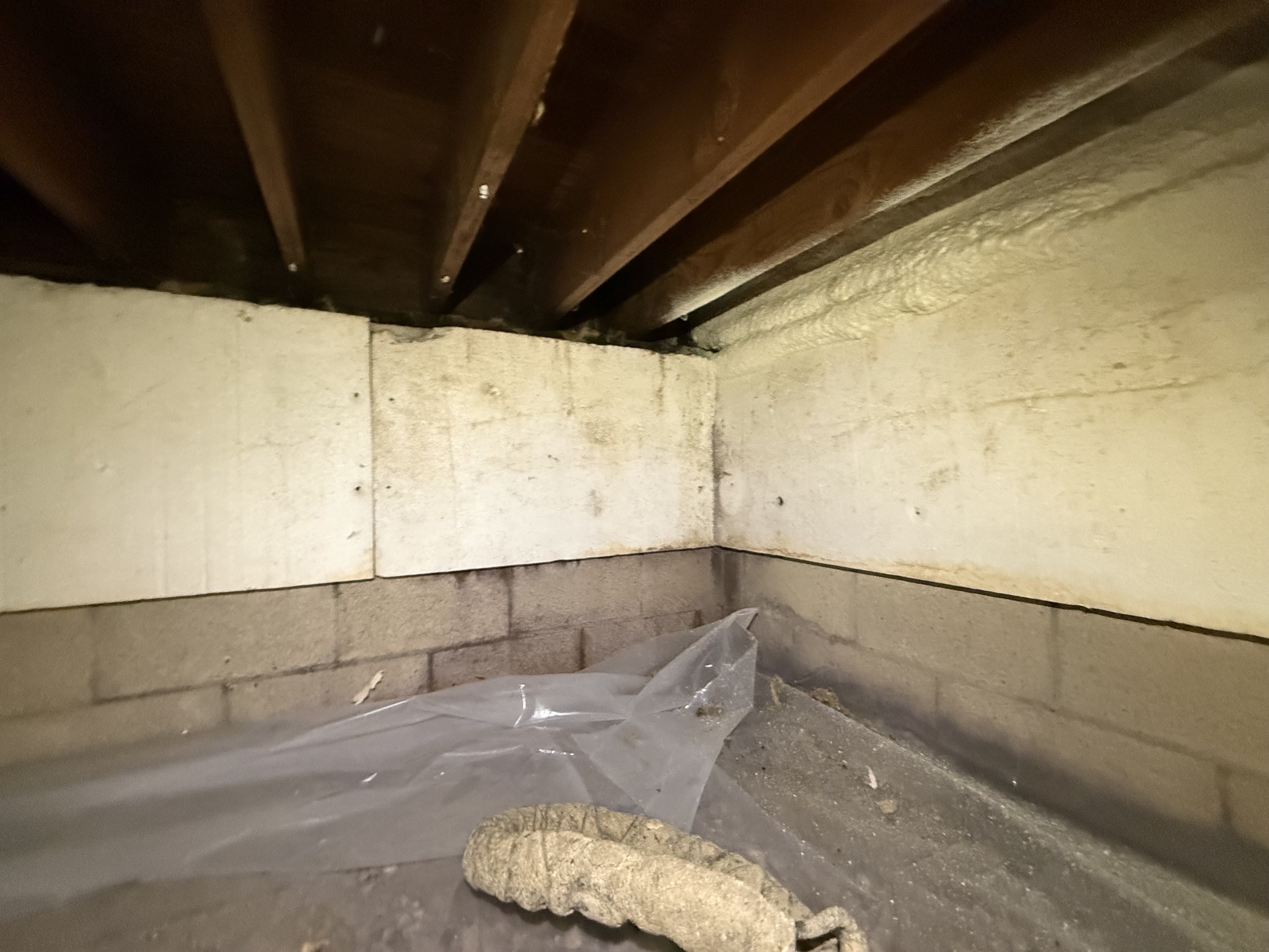From Gross to Great!... - Healthy Homes Insulation Services | Facebook