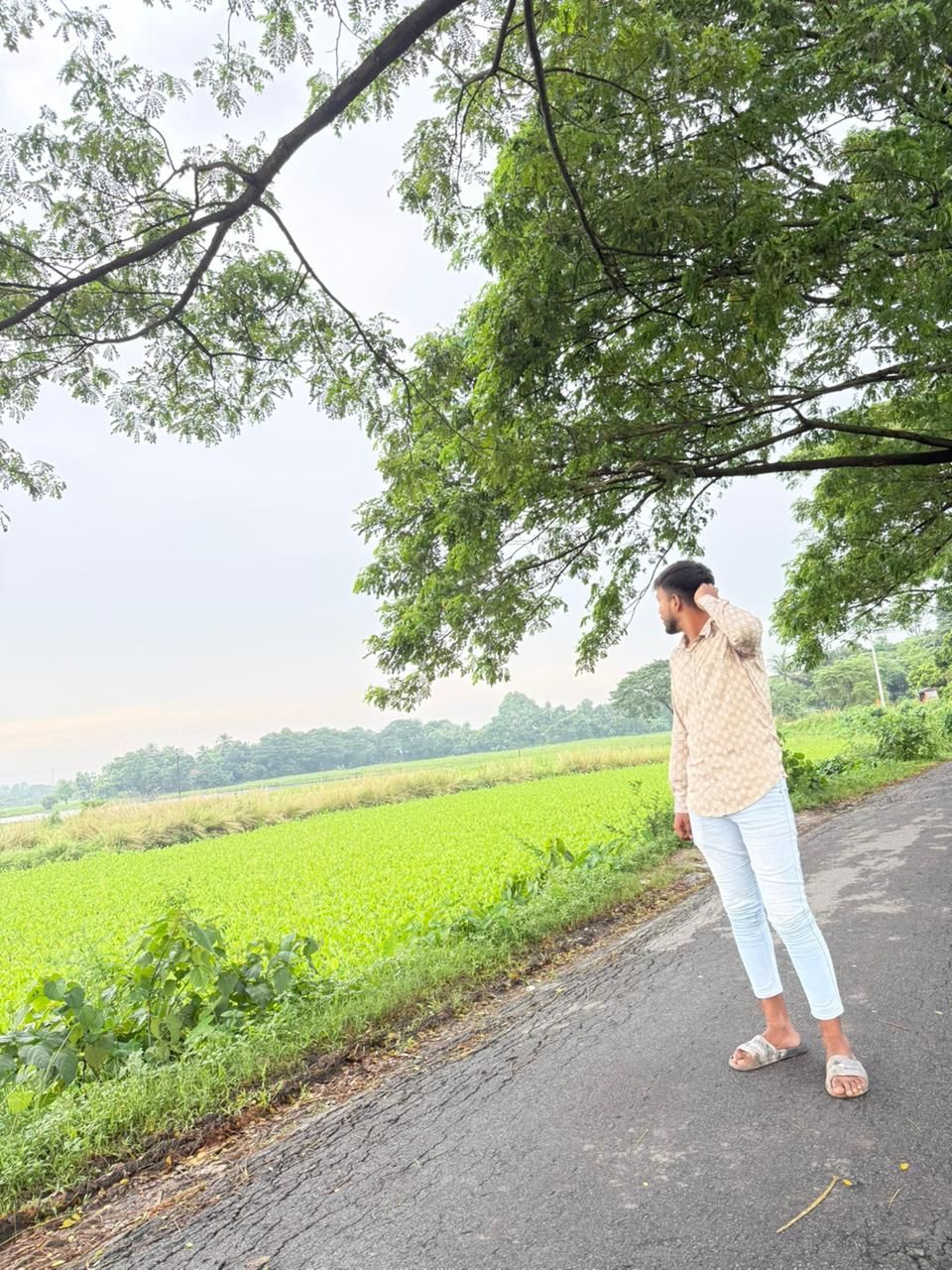 Arfan Siam