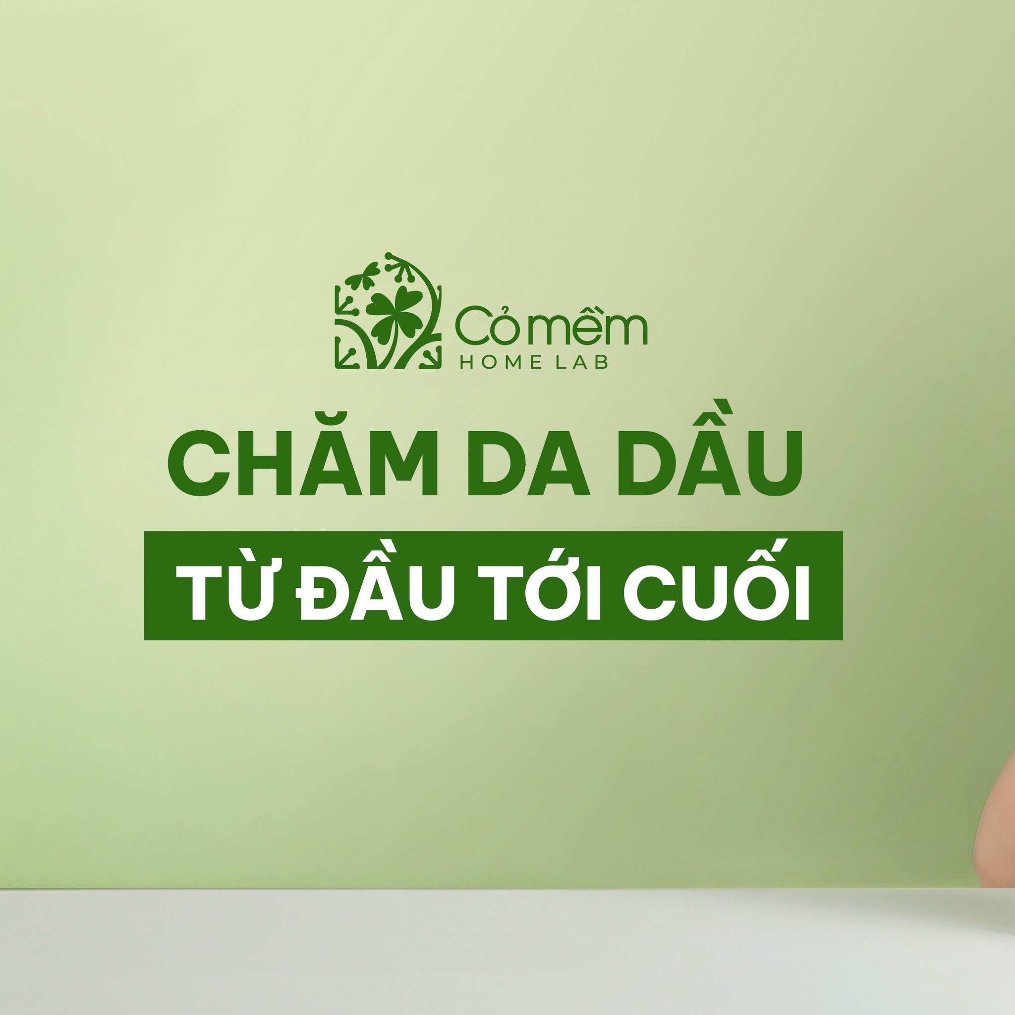 Cỏ mềm HomeLab - 🍀CHĂM DA DẦU TỪ ĐẦU TỚI CUỐI “Bí kíp”... | Facebook