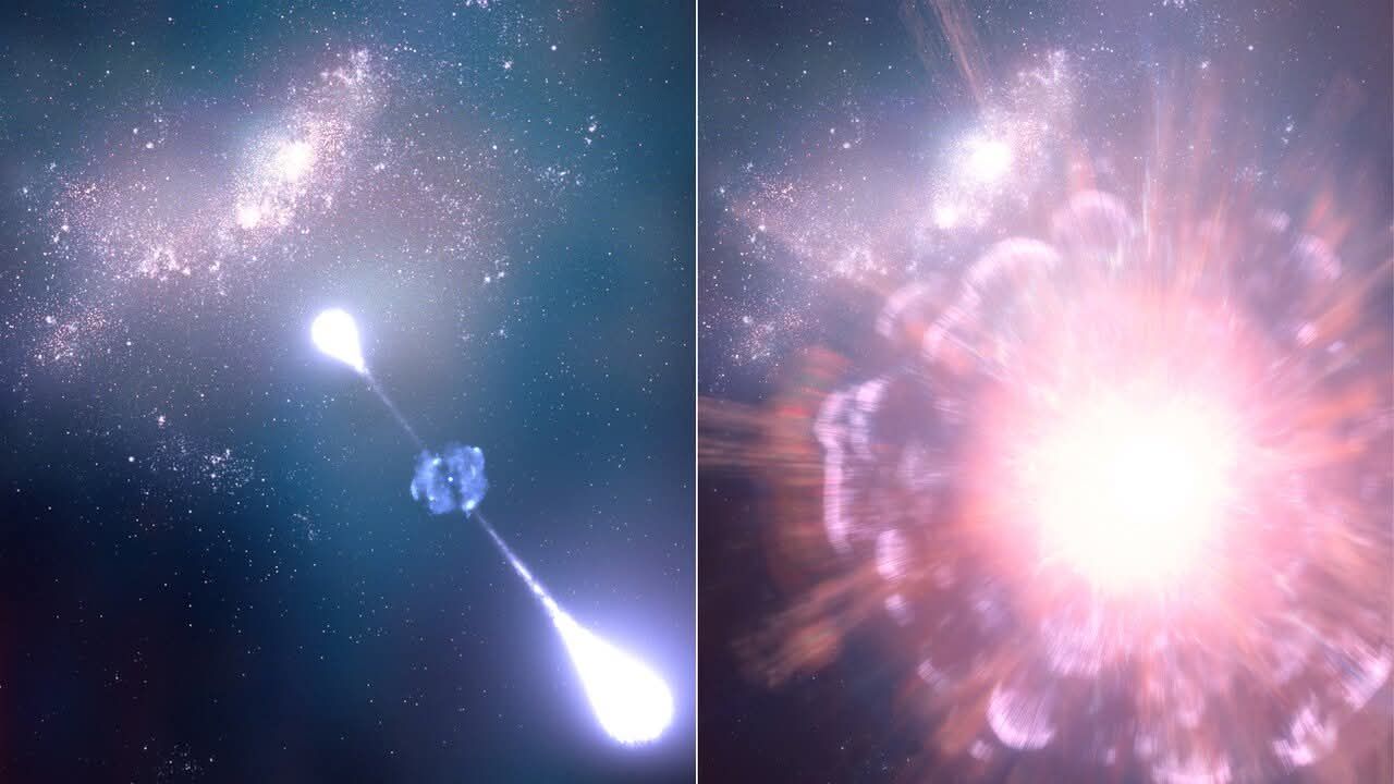 🛎️ It's quiz time! This illustration represents the supernova