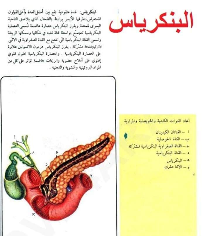 ما علاقة البنكرياس بالكبد علم التحليلات المرضية Facebook
