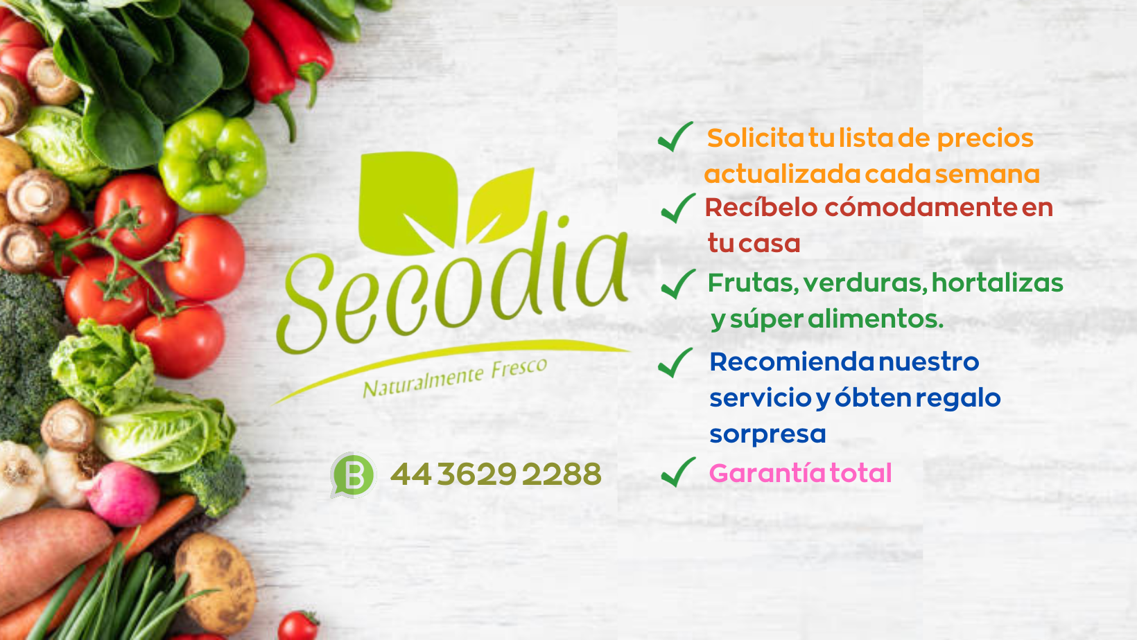 SECODIA | Mexico City