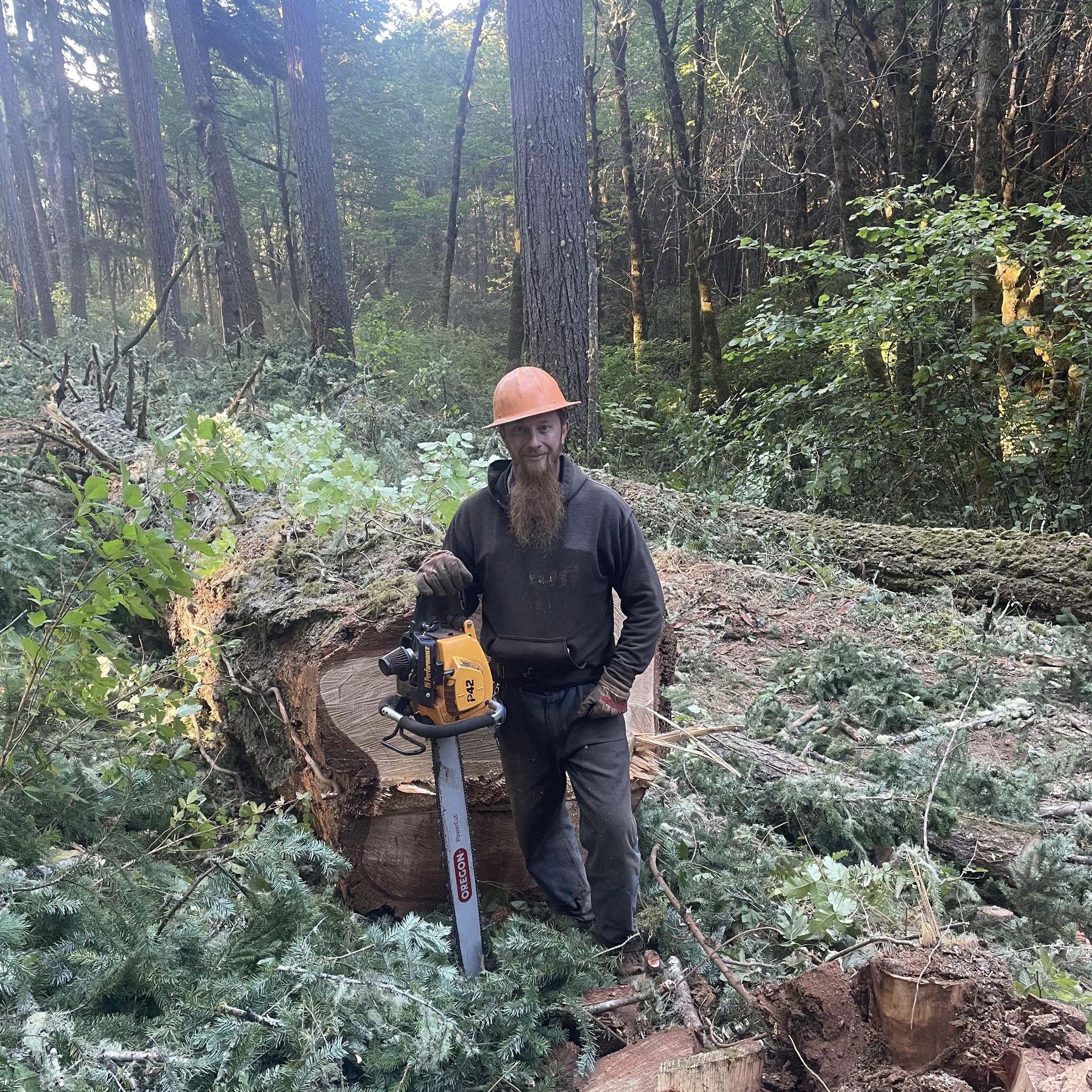 Trees R Us Logging & Construction Inc | Cheshire OR
