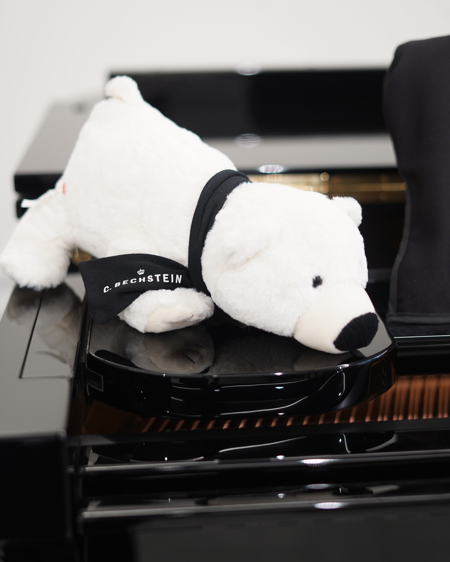 ベヒシュタインのマスコット、かわいい「ベヒグマ」ちゃん🐻 “くま”は