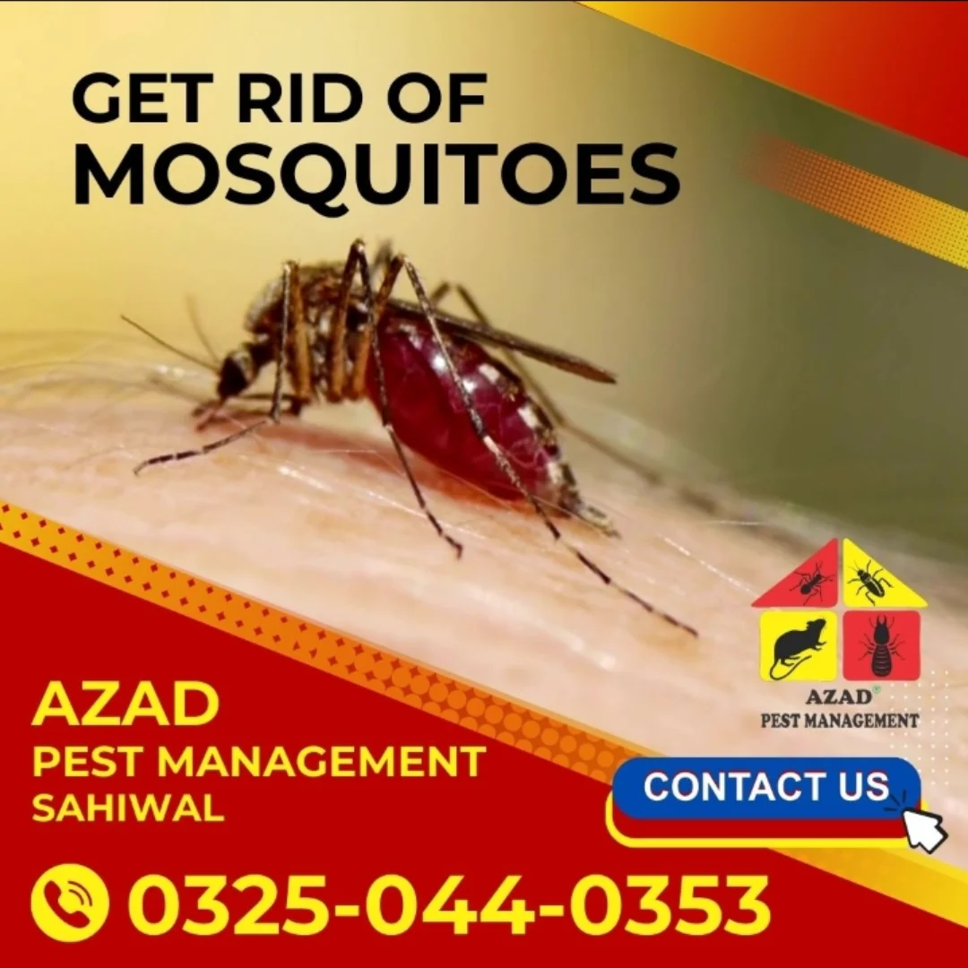 Azad Pest Control Pakistan