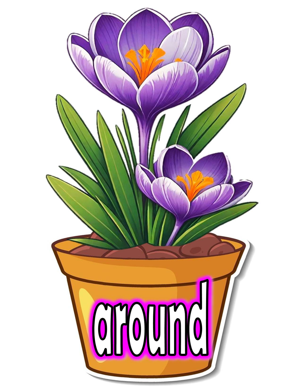 Maestra Rhea - #sightwords #grade2 #readingmaterials | Facebook