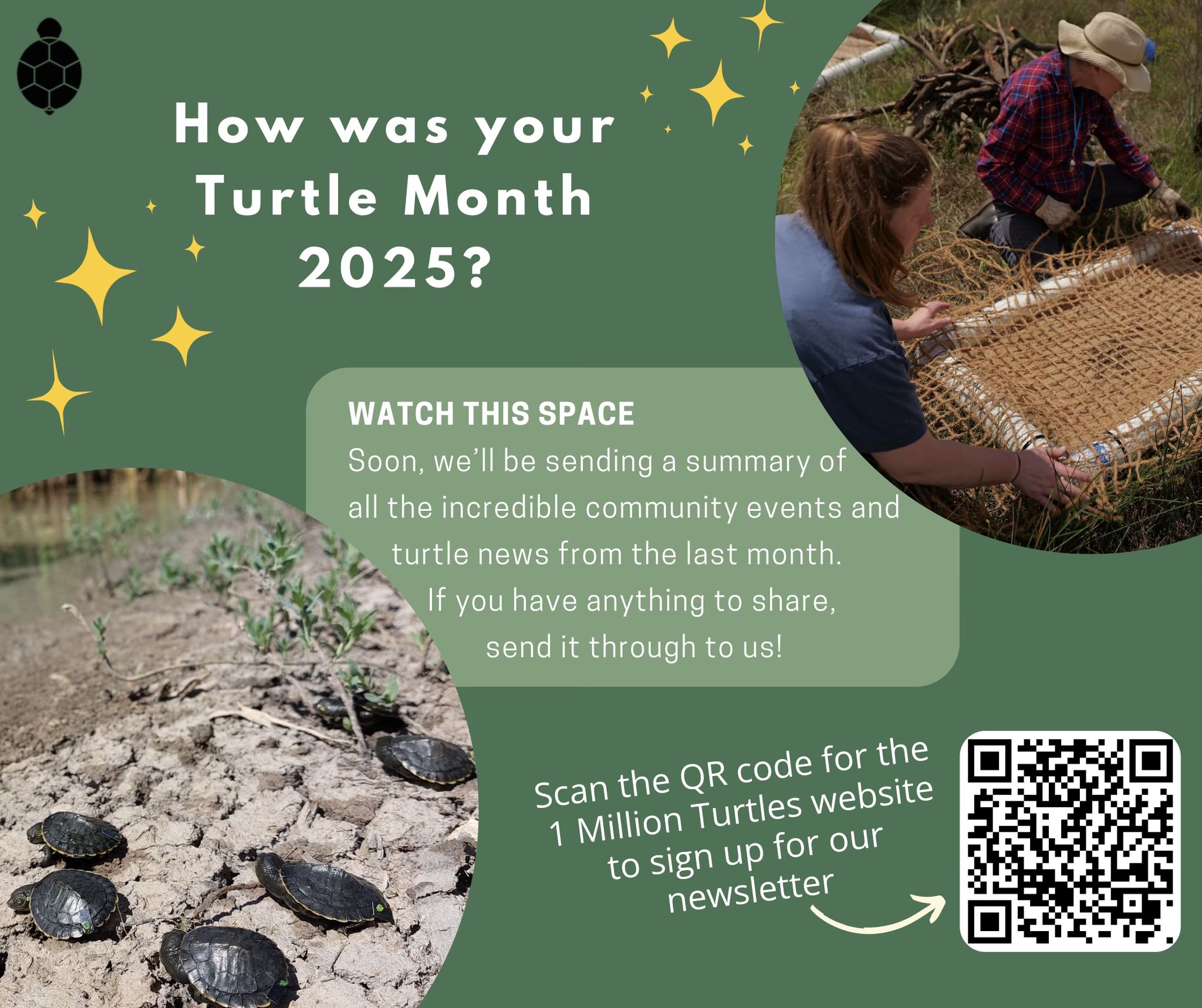 1 Million Turtles Community Conservation Program | Sydney NSW