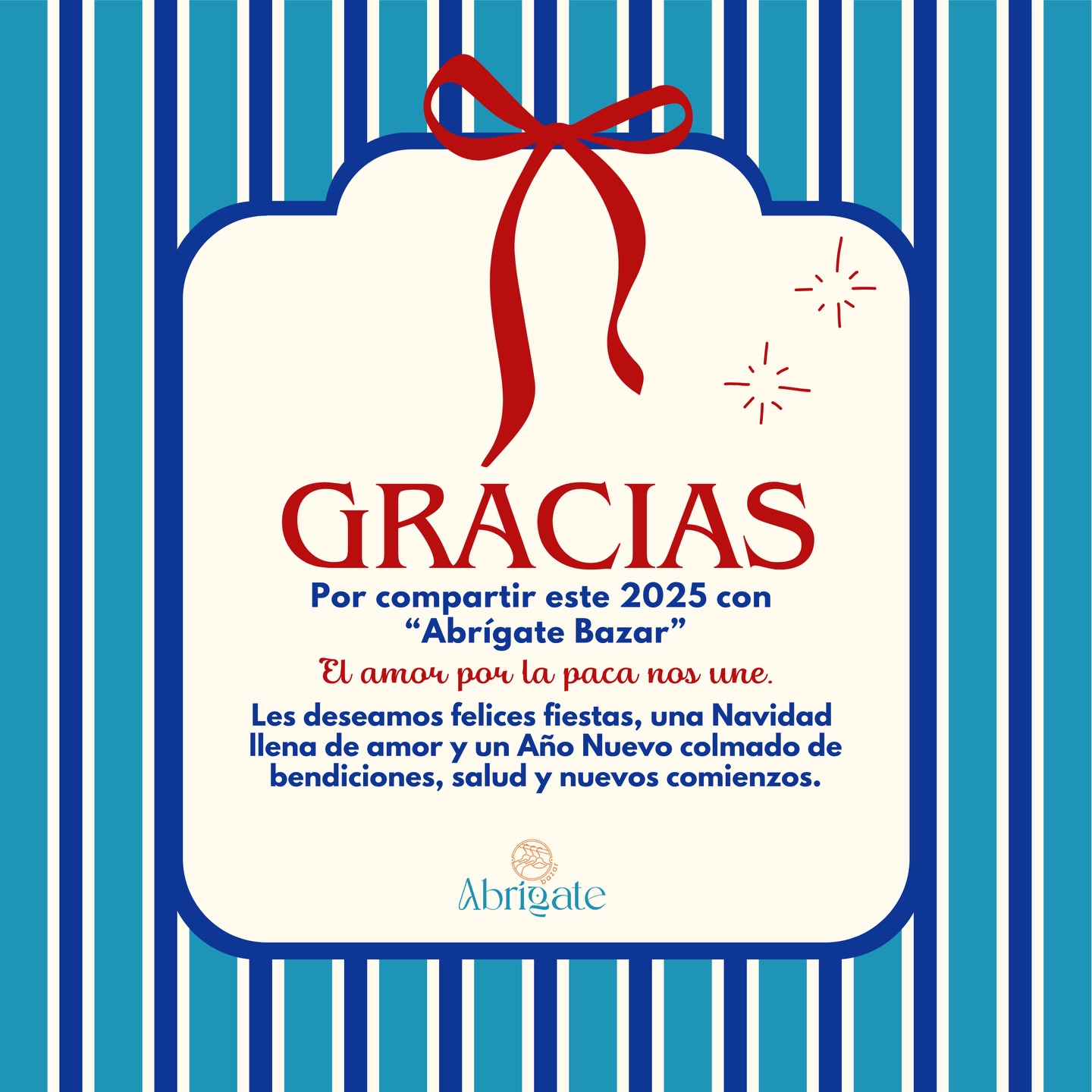 Abrígate Bazar Santa Ana | Chiautempan