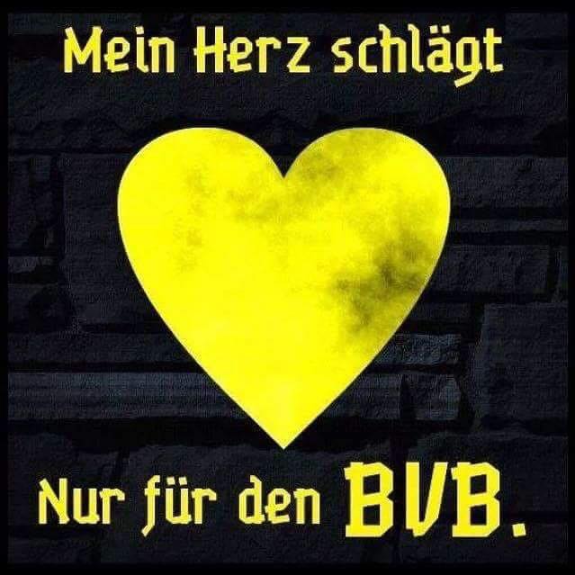 Mein Herz Schlagt Nur Fur Den Bvb Home Facebook