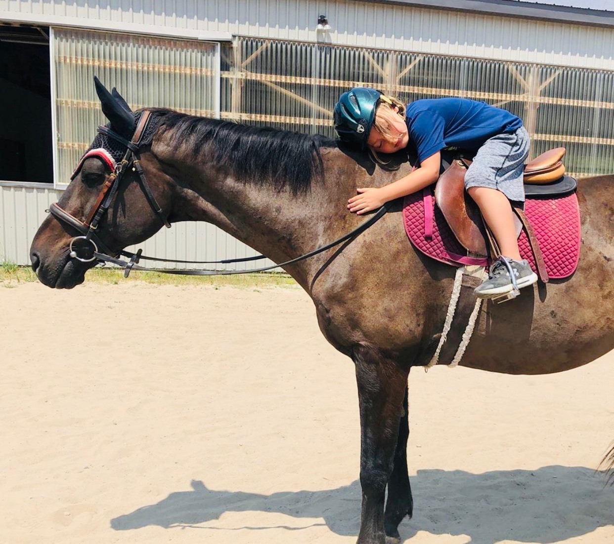 The Crystal Ladder Ranch | Newmarket ON