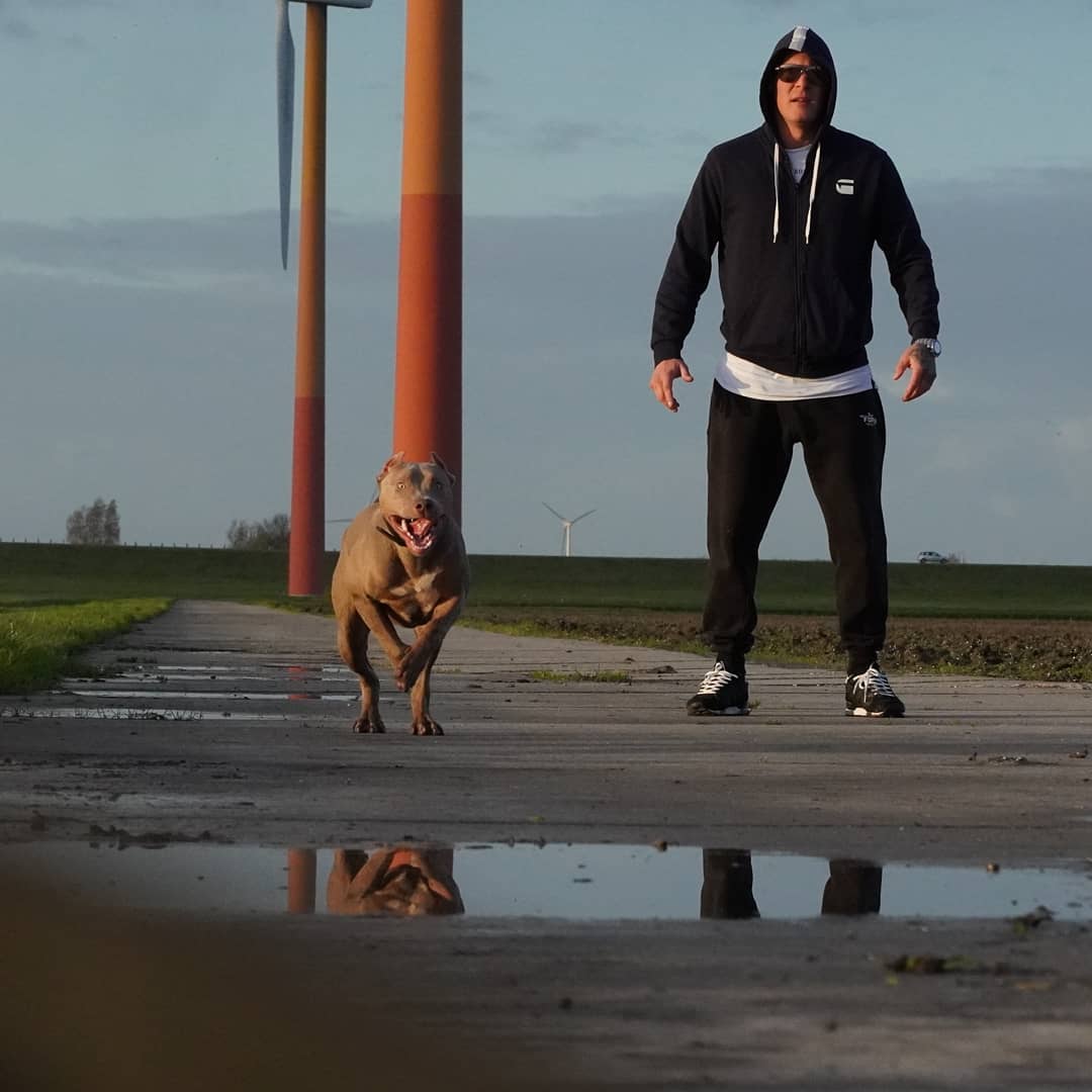 Pascal - & RUN 💪😂 Mila 20 weeks Daughter of Bandolero 🔥 ....