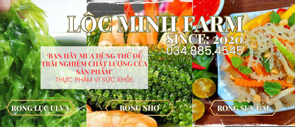 Rong Nho HCM - Thực phẩm An sinh - Thành phần dinh dưỡng của Rong Biển ...