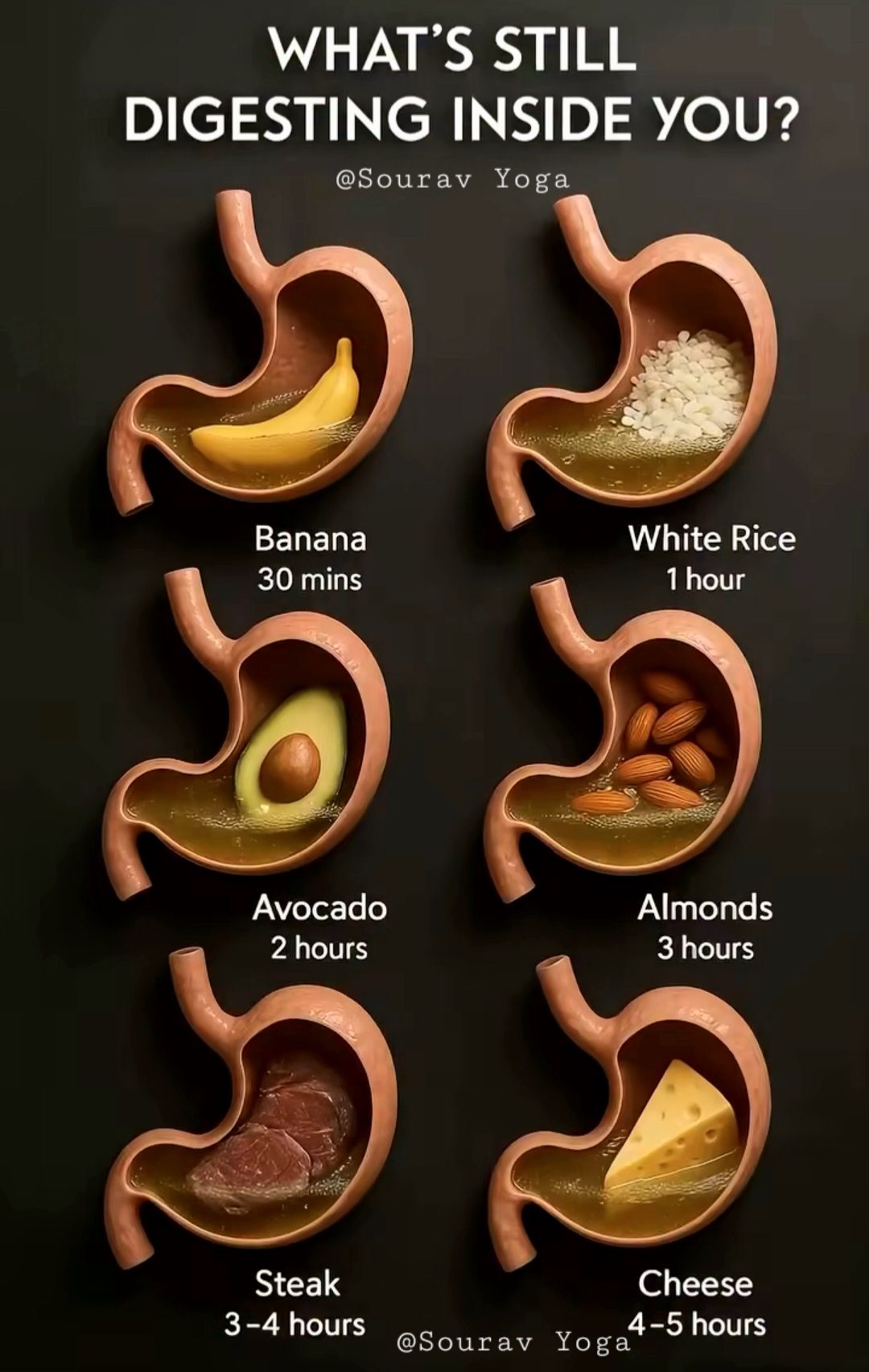 Sourav - WHAT'S STILL DIGESTING INSIDE YOU? Ever wondered how long your ...
