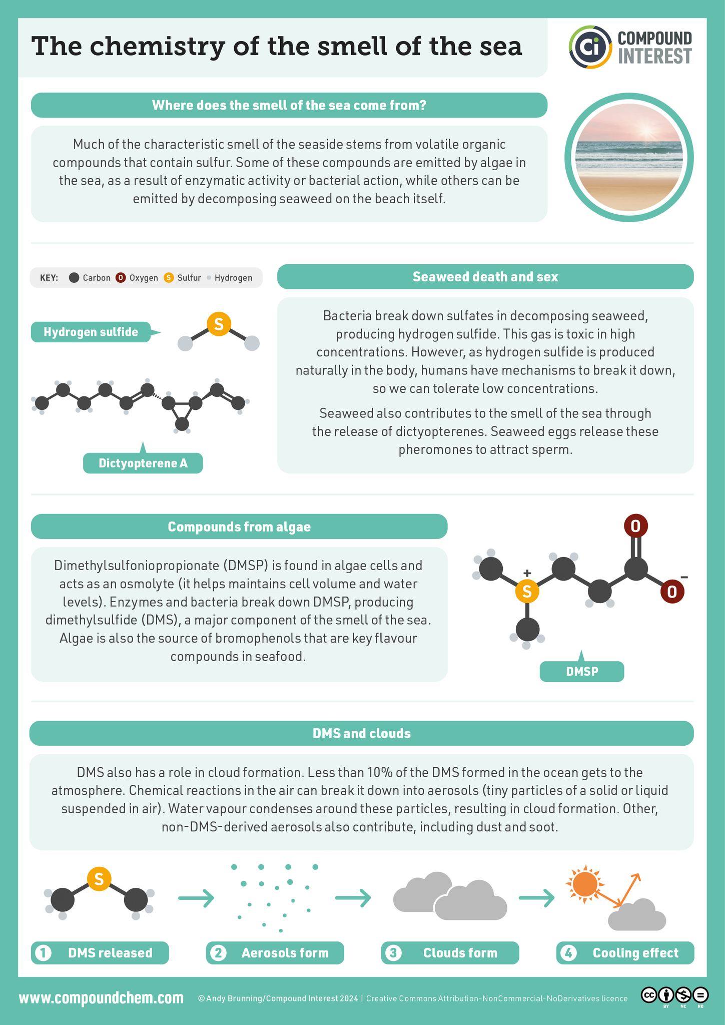 It's #NationalBeachDay! Do you love... - Compound Interest