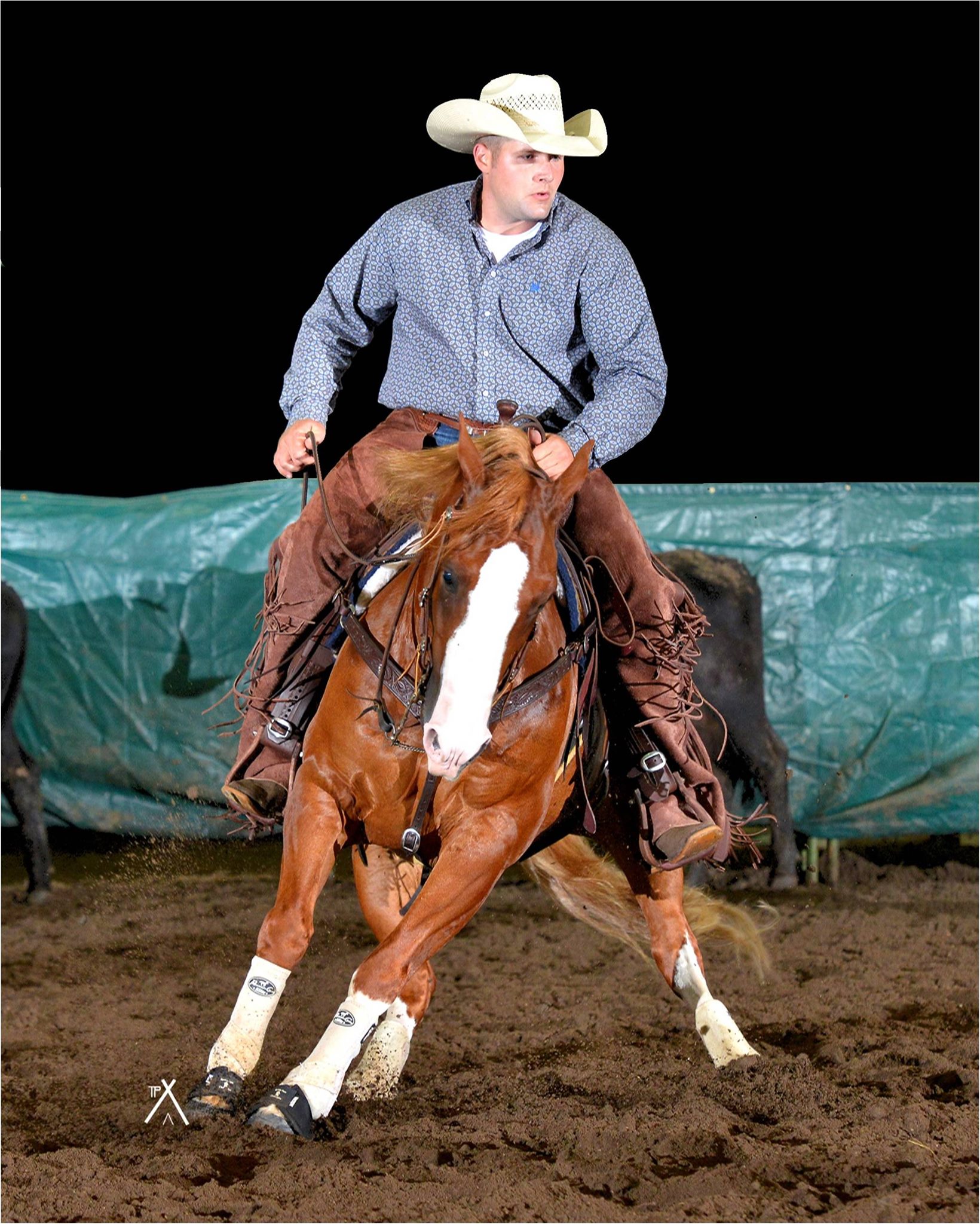 Sp... - Spur Alliance - The Best Dude Ranches in North America