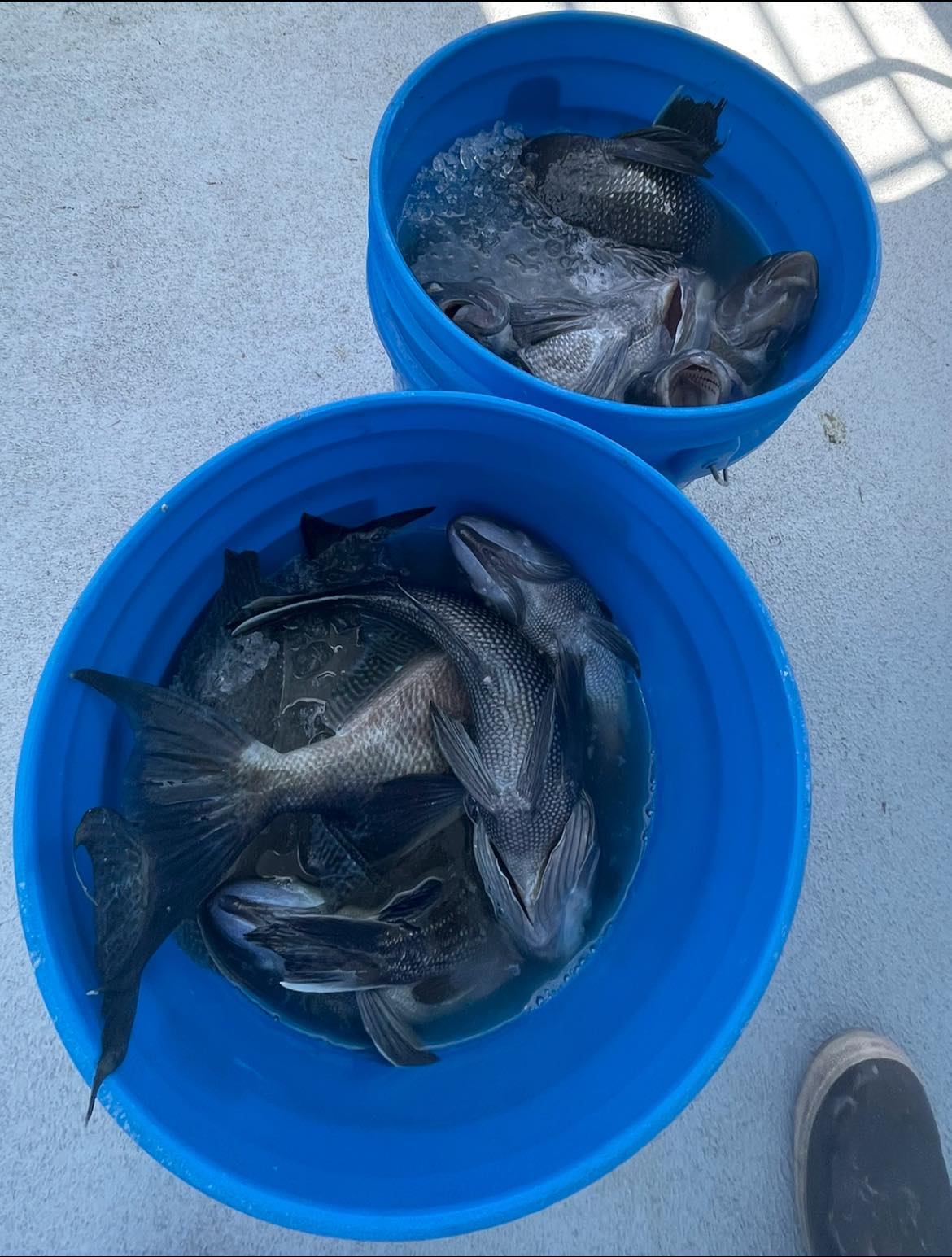 First Cousins Fish Cuttery | Hyattsville MD