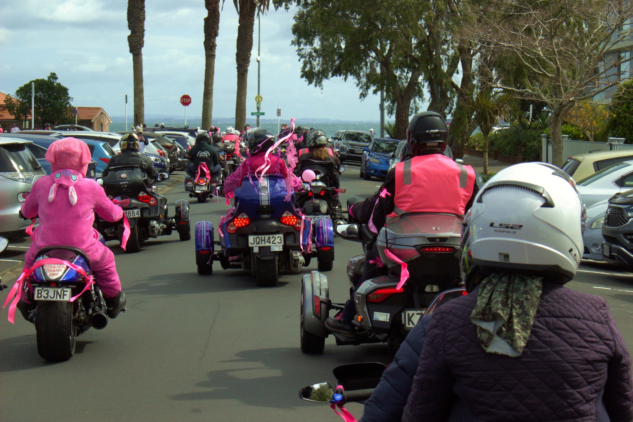 Pink Ribbon Ride Auckland... - Pink Ribbon Ride Auckland