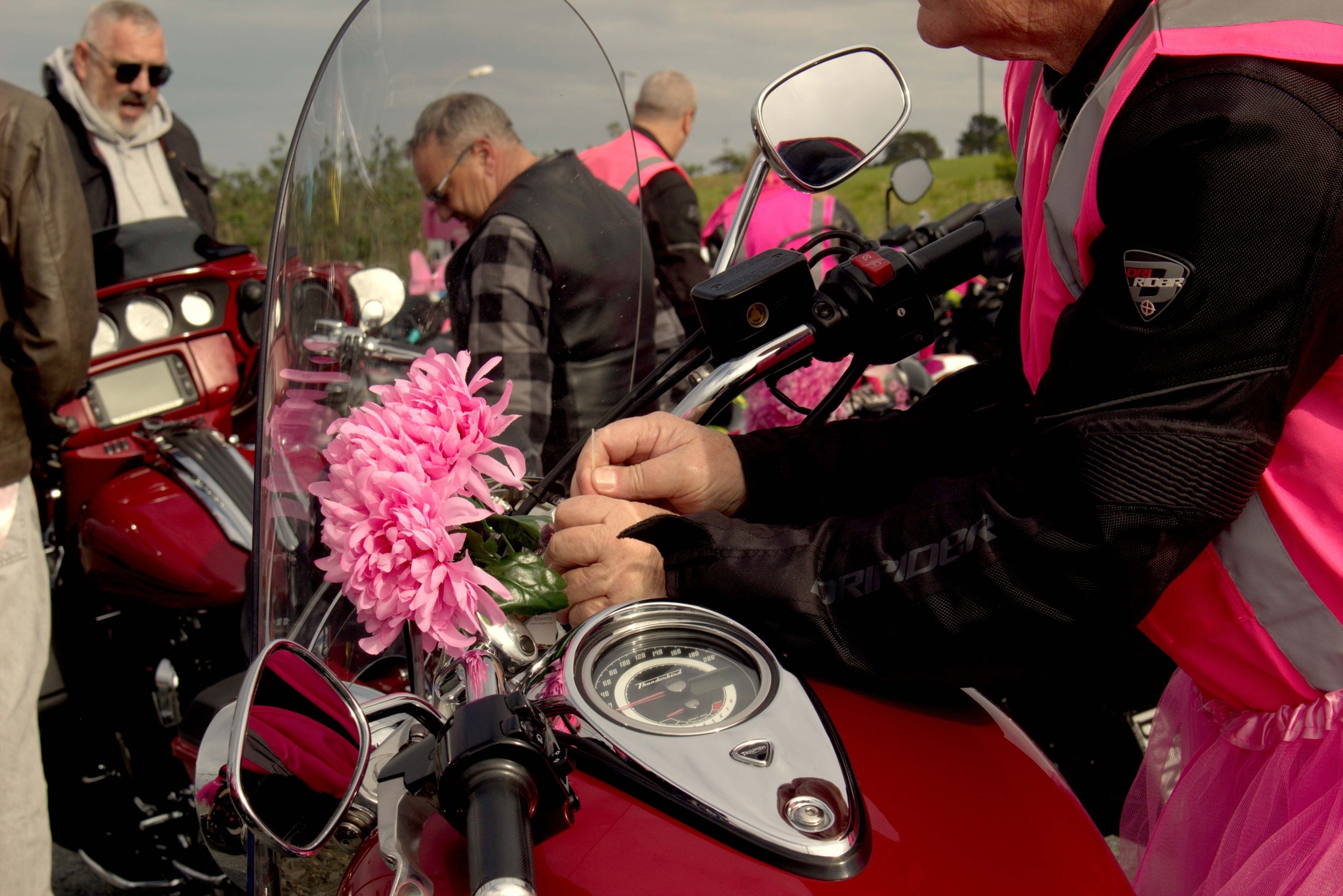 Pink Ribbon Ride Auckland... - Pink Ribbon Ride Auckland