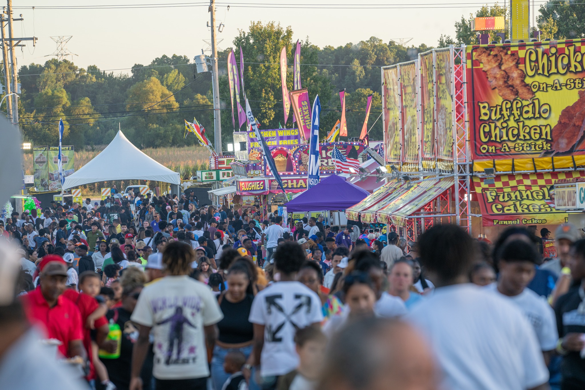Delta Fair & Music Festival | Memphis TN