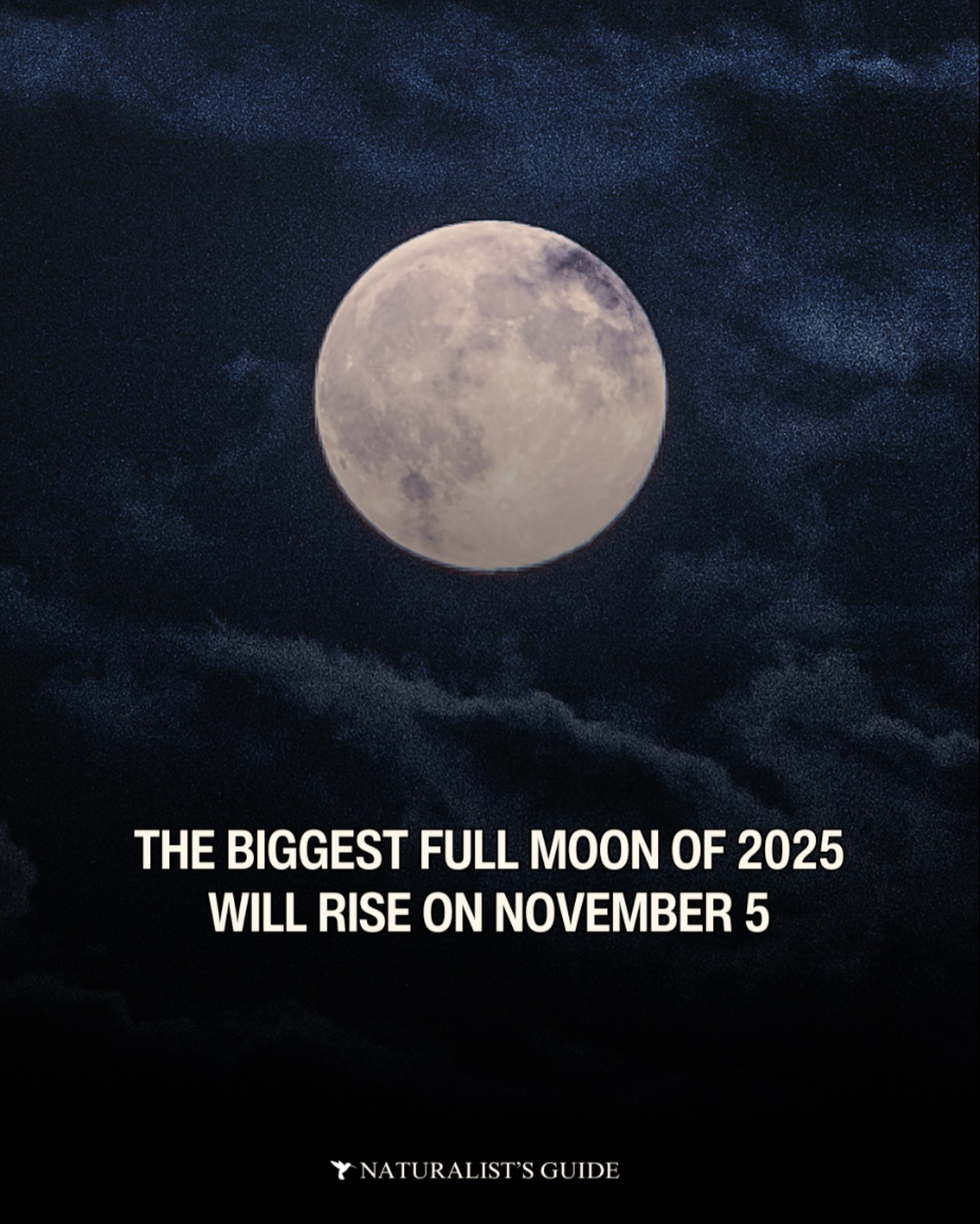 Naturalist's - 🗓️ Mark your calendar! 🌕 The Biggest Full Moon of 2025 ...