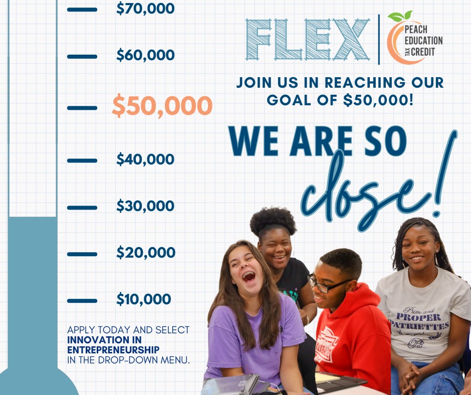 Georgia FLEX - Wondering how the FLEX program works? Here's a breakdown ...