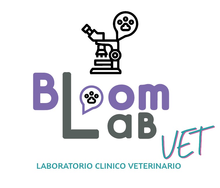 Bloom Lab