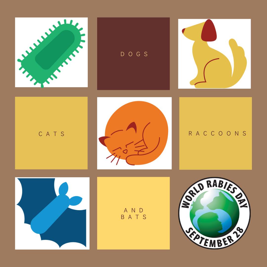 Winslow - Today is World Rabies Day! 